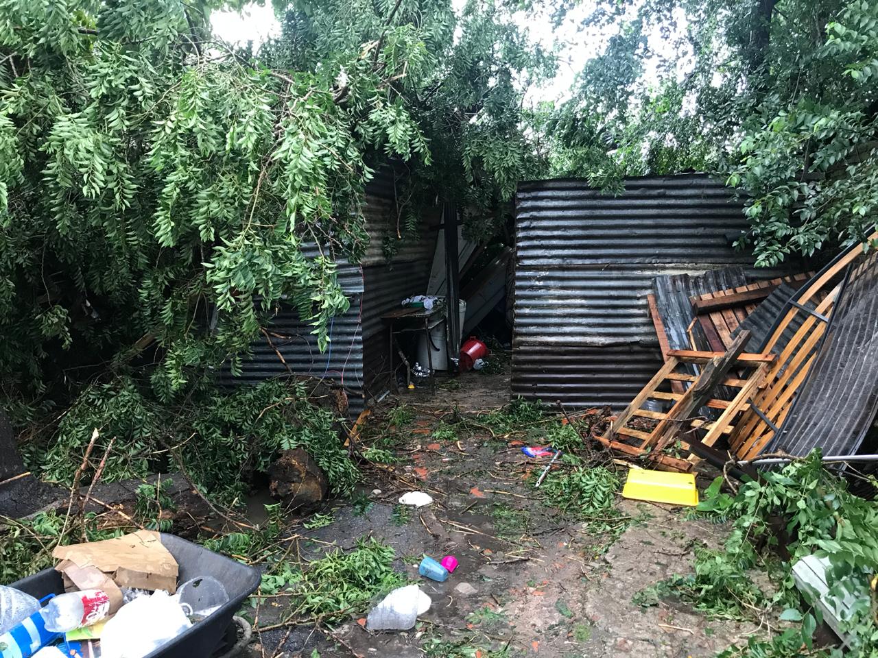  Un árbol cayó durante un temporal y aplastó una casa: dos muertos