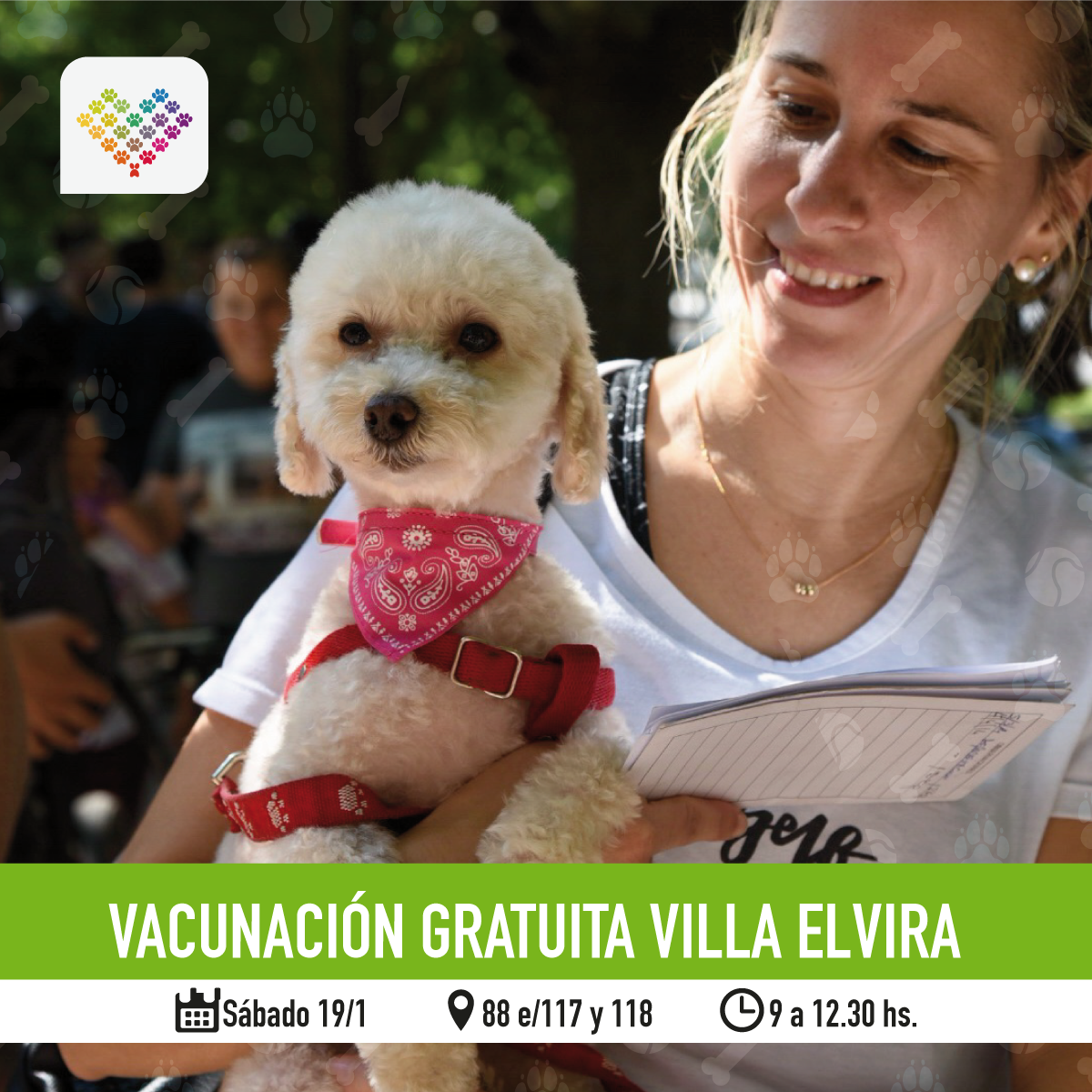  Continúa la campaña de asistencia veterinaria en distintos puntos de la ciudad