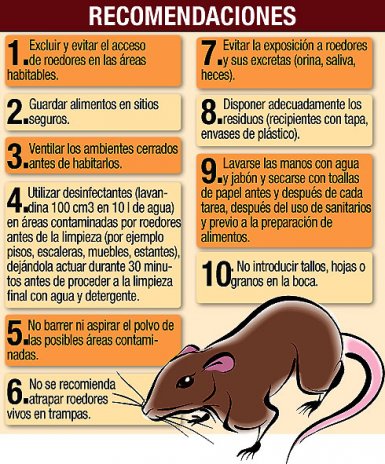  El Municipio brindó recomendaciones para prevenir casos de hantavirus