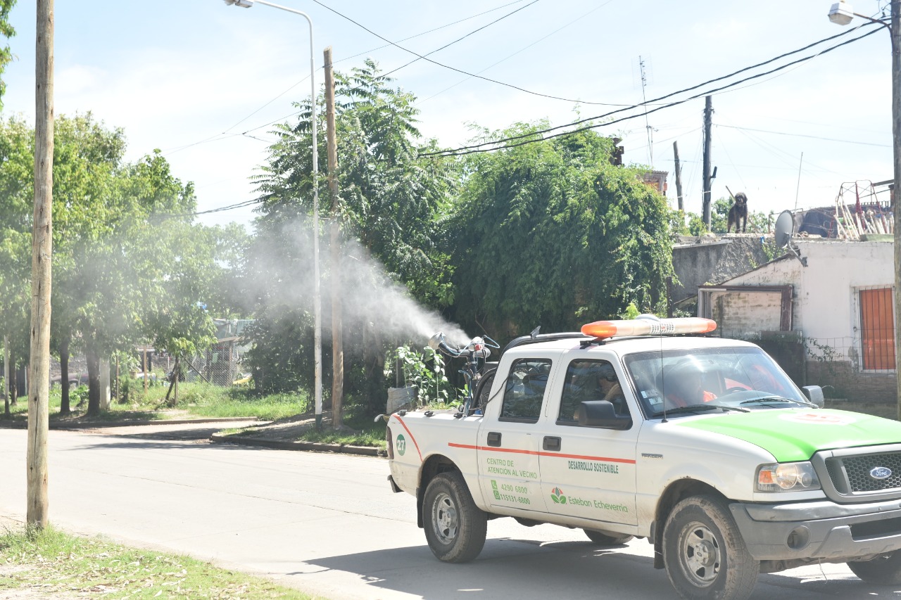  Fumigación y desratización en Luis Guillón