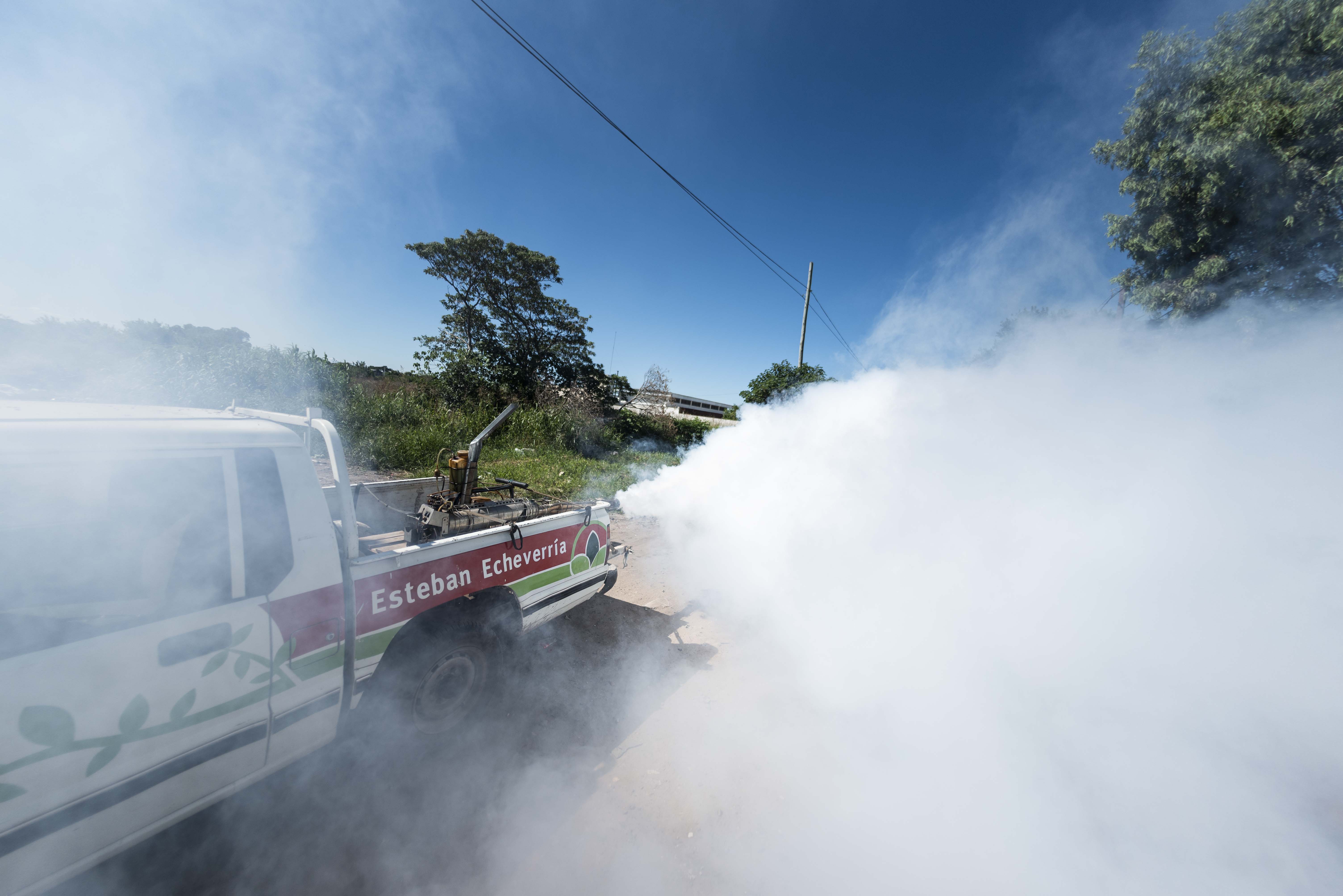  Fumigación y desratización en Monte Grande