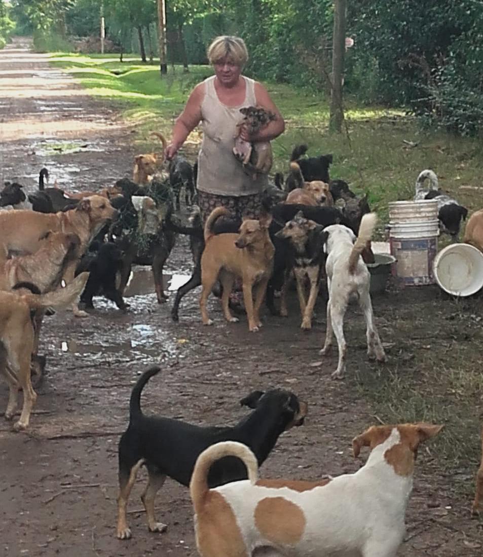  Desalojados: 2 mujeres y 137 animales en la calle