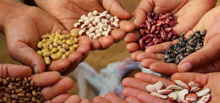  Comienza un nuevo ciclo de charlas y entrega de semillas en las localidades