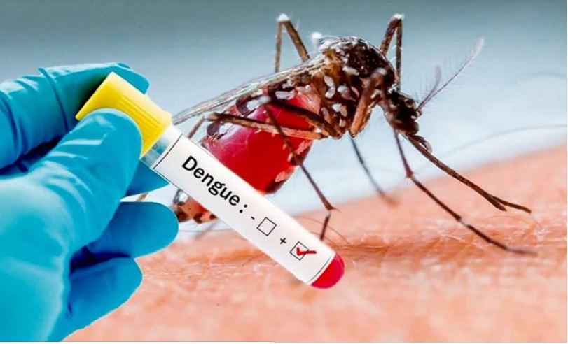  Prevención del dengue, zika y chikungunya