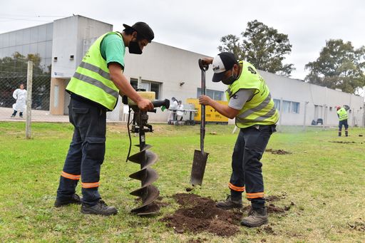  Continúa el Plan de Arbolado Urbano con la plantación de 160 árboles