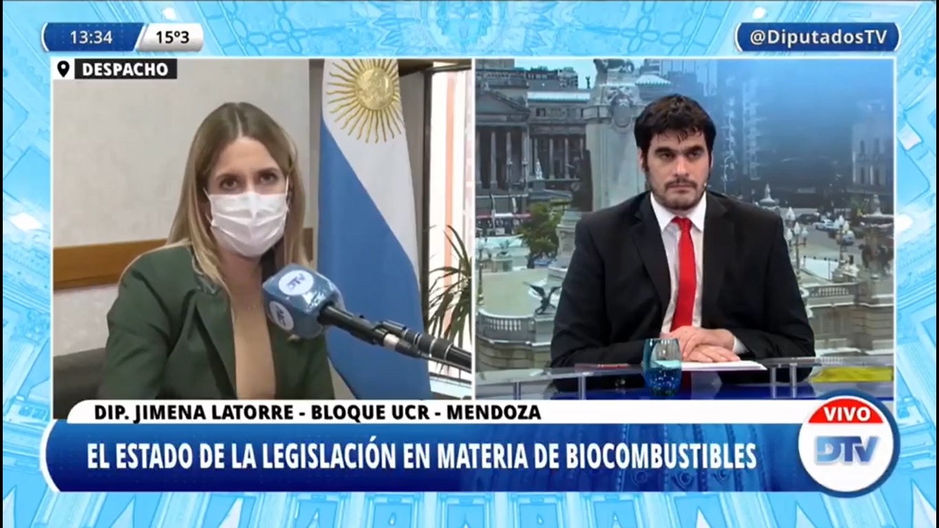  Diputados opinaron sobre el Proyecto de Ley de Biocombustibles