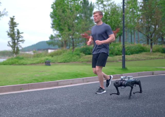  ¿Tu perro no te hace caso? Entonces es hora de tener un perro-robot