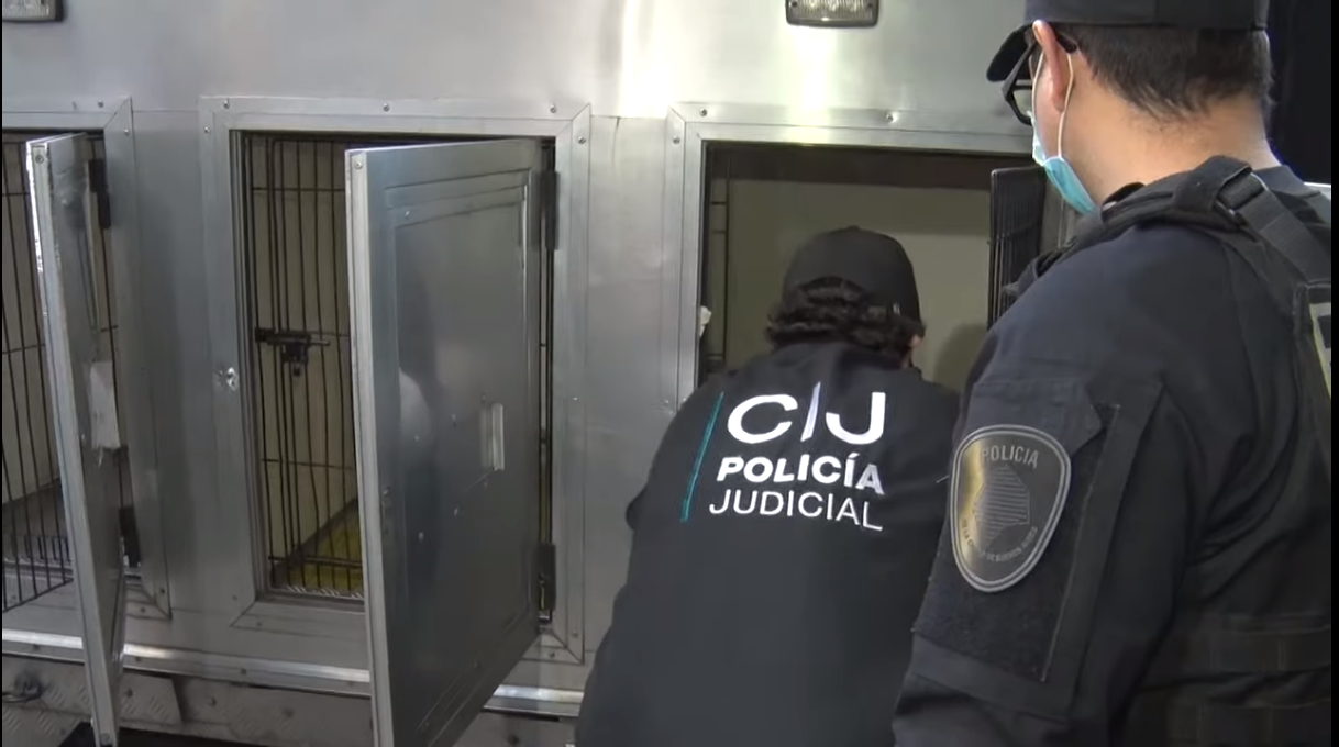  Caballito: rescatan 24 perros de un criadero ilegal y detienen a los responsables