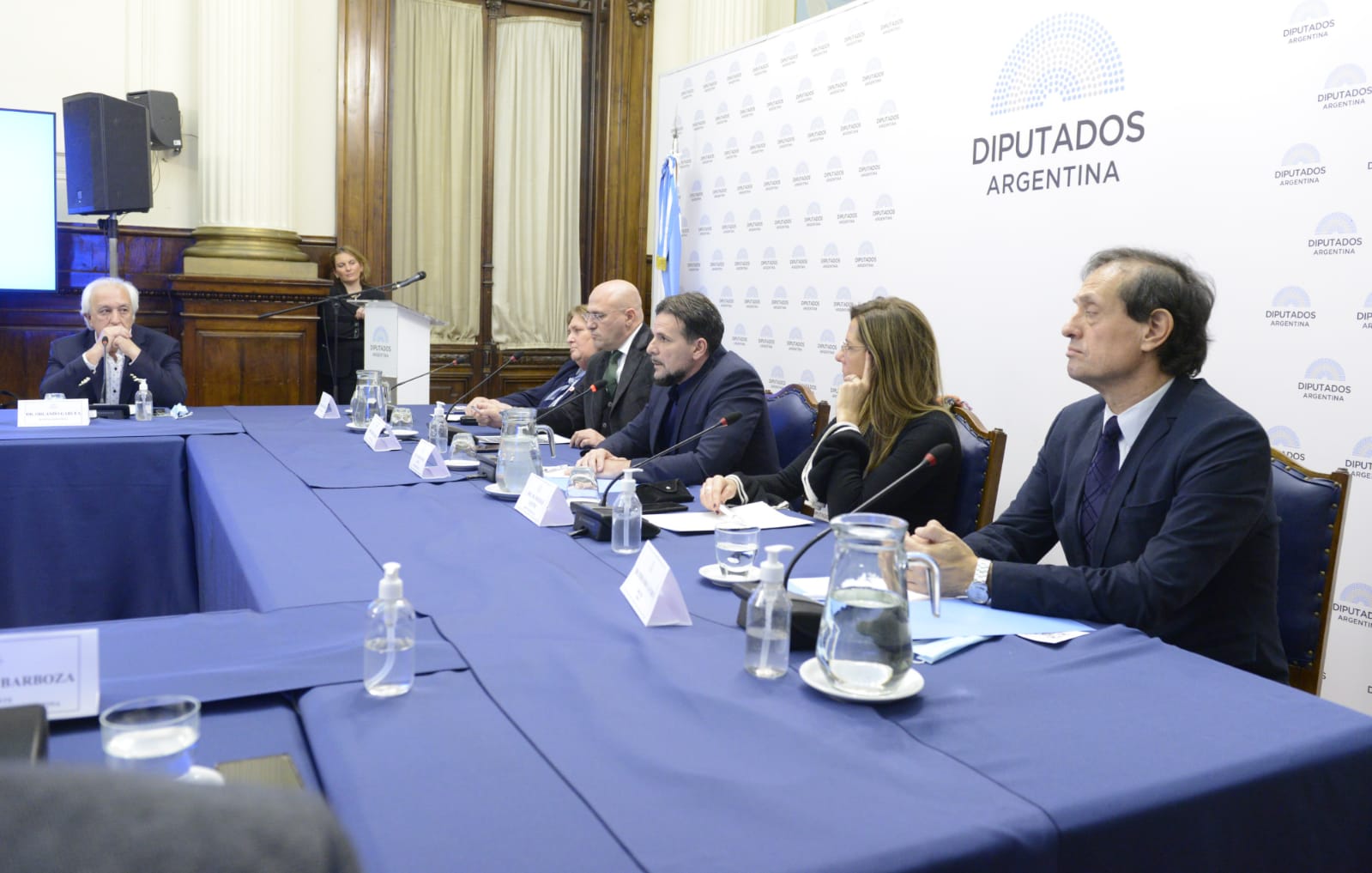  Diputados organizó la jornada “Esclerosis múltiple: Escenario actual en Argentina”