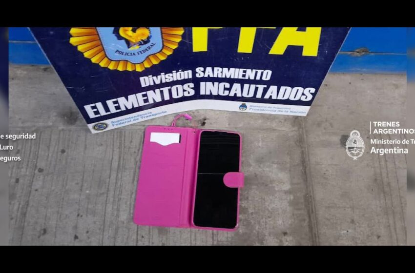  Robó un celular y terminó detenido