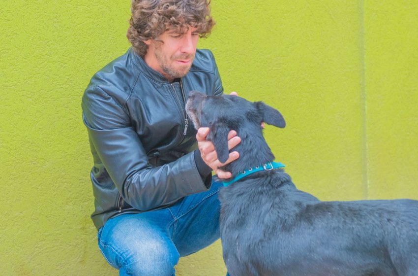  Juan Andreotti promovió la adopción de perros con tenencia responsable