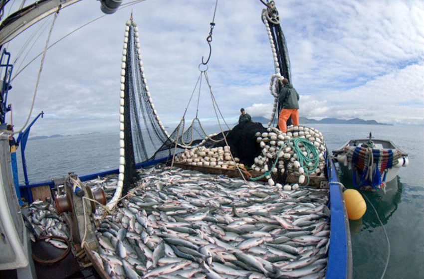  El Gobierno no descarta cambios en los artículos que liberan la pesca en el Mar