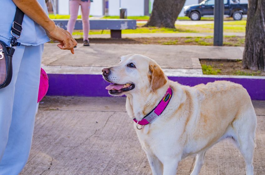  Nueva jornada de vacunación contra la rabia