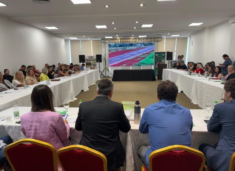  Estrategias y proyecciones turísticas en el COPROTUR