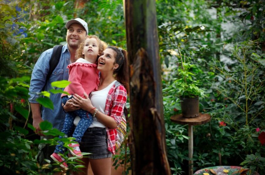  Pichones Observadores, una experiencia de avistaje de aves para las infancias