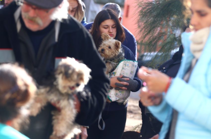  Continúa la Campaña Gratuita de Vacunación Antirrábica 2025