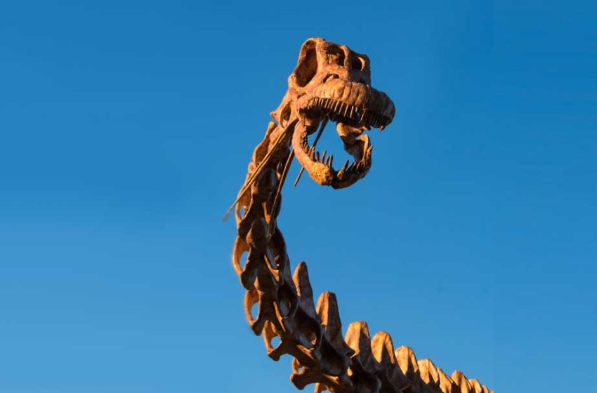  Patagotitan mayorum, el gigante de la Patagonia llega a Buenos Aires