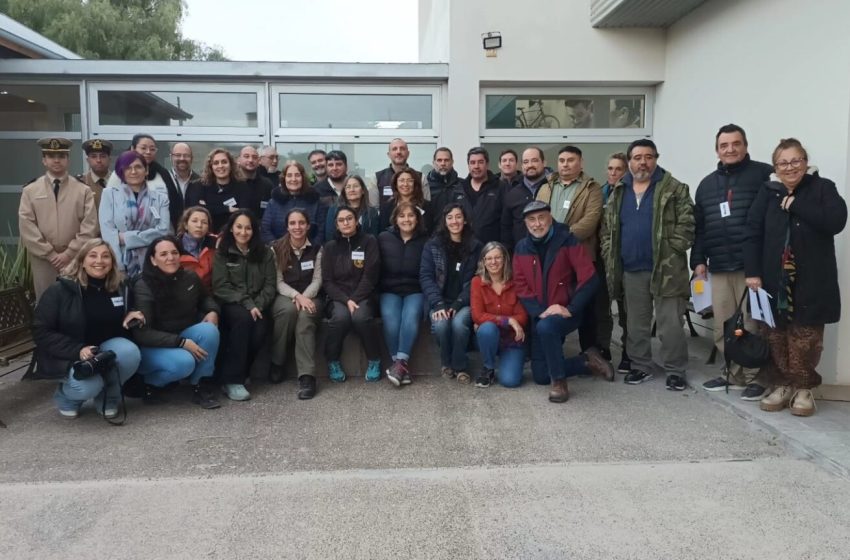  Chubut avanza en el Programa de Uso Público del Parque Marino Costero Patagonia Austral