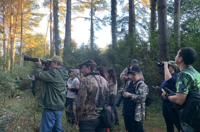  Llega “Volar 2025”, el primer encuentro internacional de observación de aves