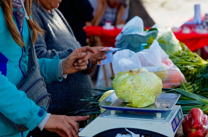  Nueva edición de la Feria Agroecológica en la Plaza Julia Copello