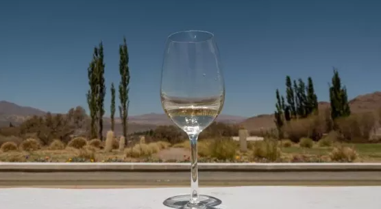  Jornadas de capacitación turística en el marco de la Semana del Torrontés