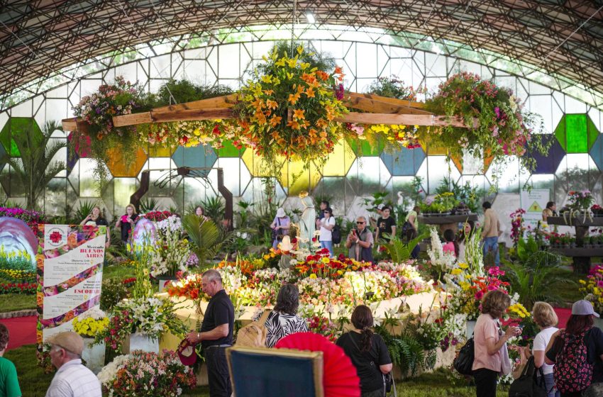  20 mil personas disfrutaron del inicio de la 62ª Fiesta Nacional de la Flor