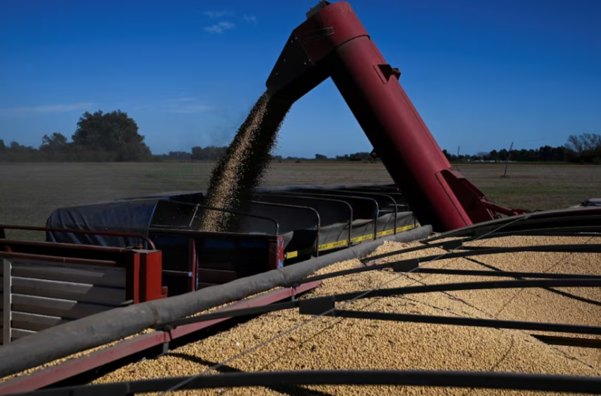  El Gobierno oficializó la baja de retenciones al agro